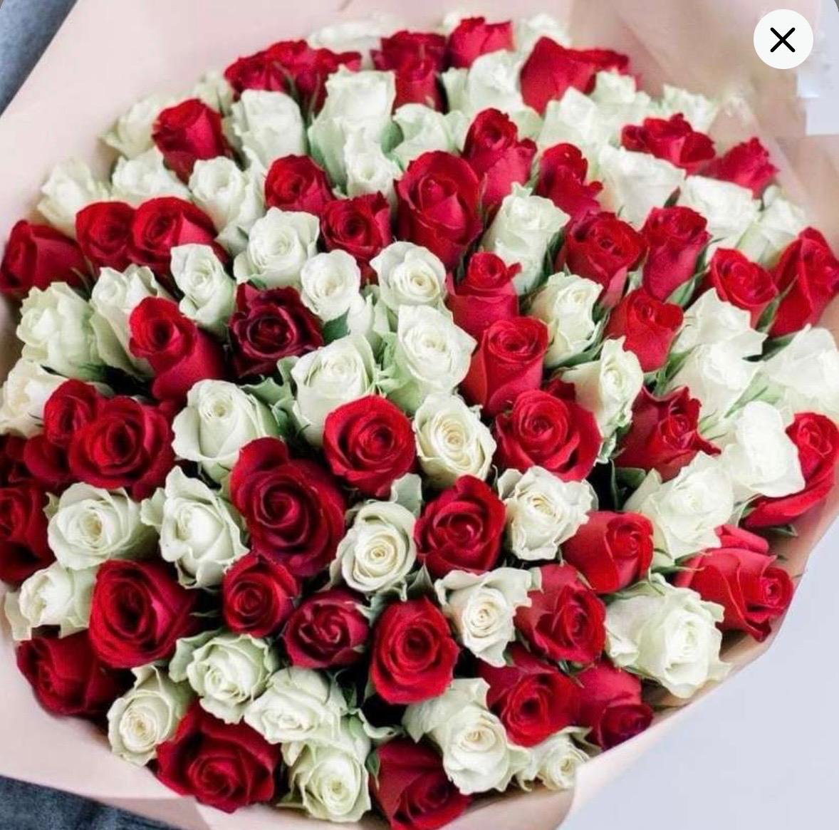 101gb. Balts sarkans miks